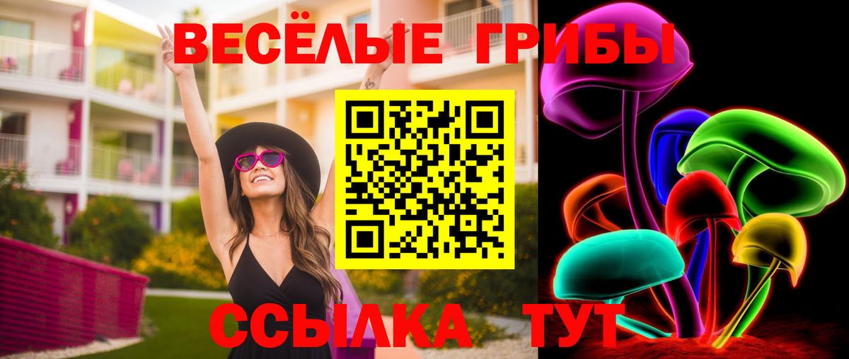 Псилоцибиновые грибы ЛСД Грозный